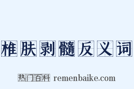 椎肤剥髓反义词是什么意思的图片